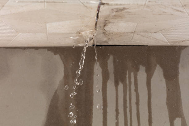 Professional Structural Drying technician working in Crawfordsville, IN